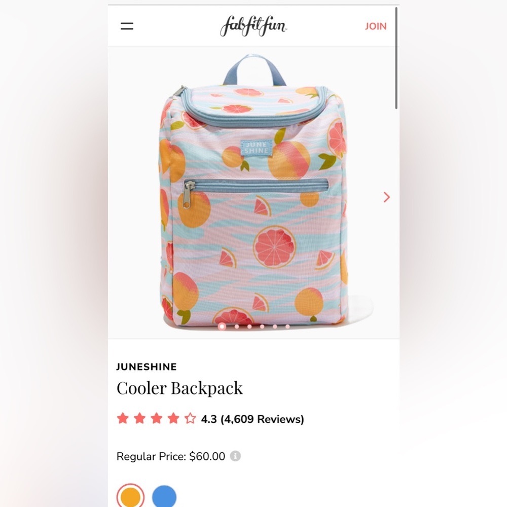 June shine insulated cooler backpack NWT